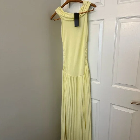 NWT Lioness Field of Dreams Off Shoulder Drop Waist Pleated Maxi Dress S/M - Picture 4 of 6